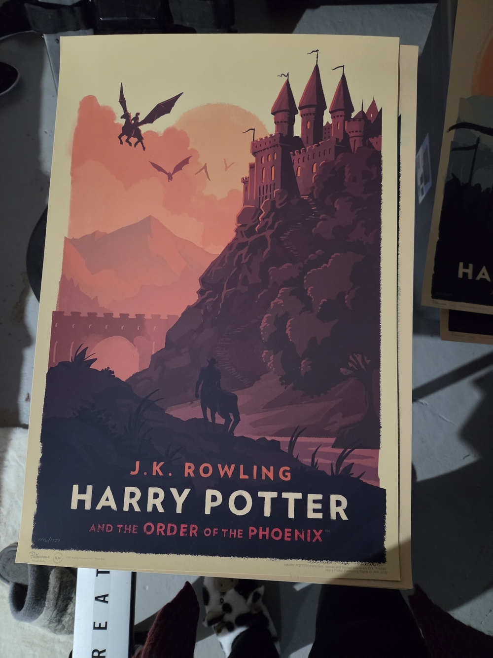 Harry Potter and the Order of the Phoenix Art Print